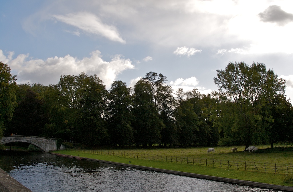 [Cam+and+Cows+(1).jpg]