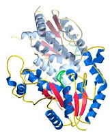 Estructura tridimensional de una proteina