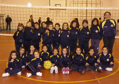 MINIVOLLEY 2010