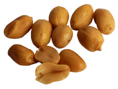 [nuts-peanuts-blanched-ns.JPG]