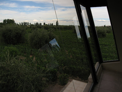 Recorriendo Bodegas en Mendoza Recorriendo Bodegas en Mendoza