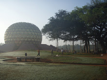 matrimandir and banyan tree