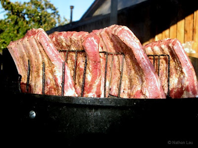 Pork Spareribs on the Weber Smokey Mountain