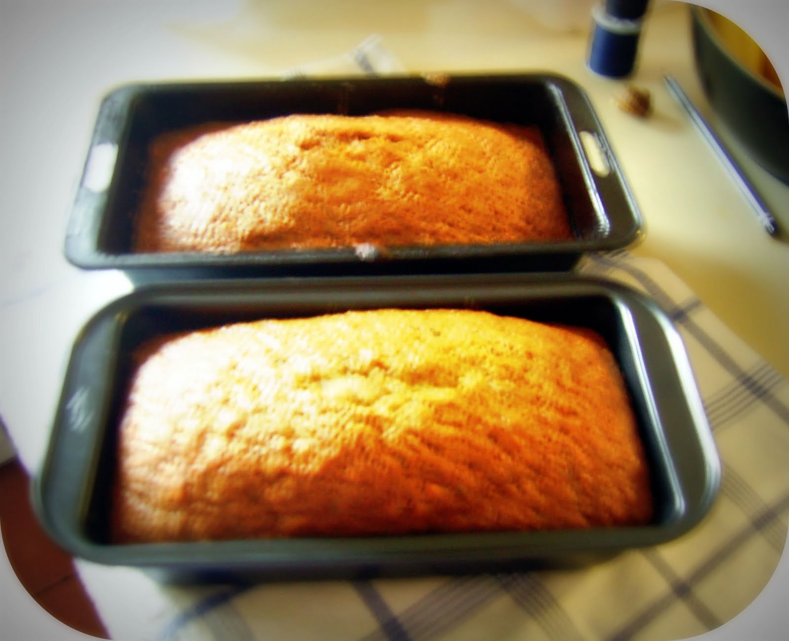 [zucchini+loaves.jpg]