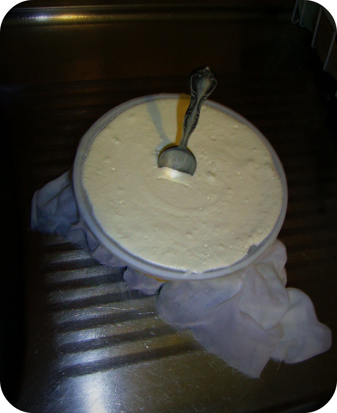 [youghurt+cheese+2.jpg]