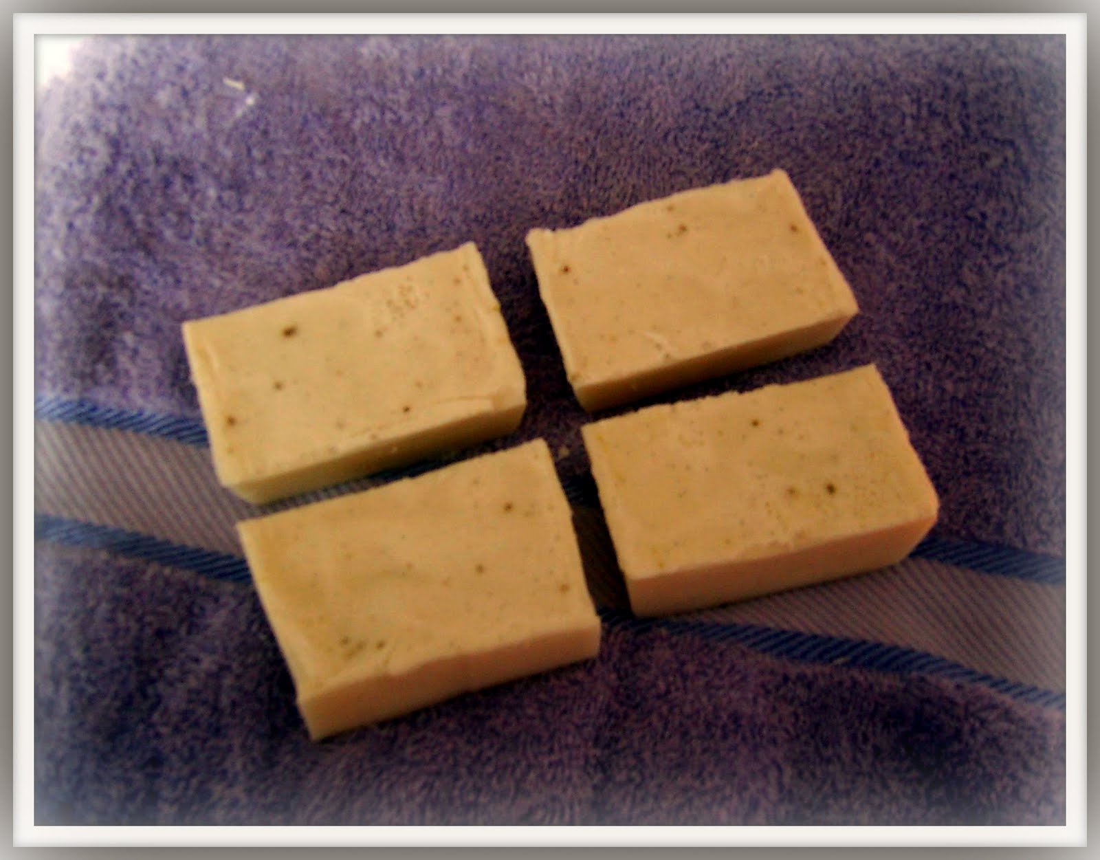 [goats+milk+soap.jpg]