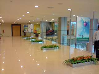[P150409_11.50.JPG]