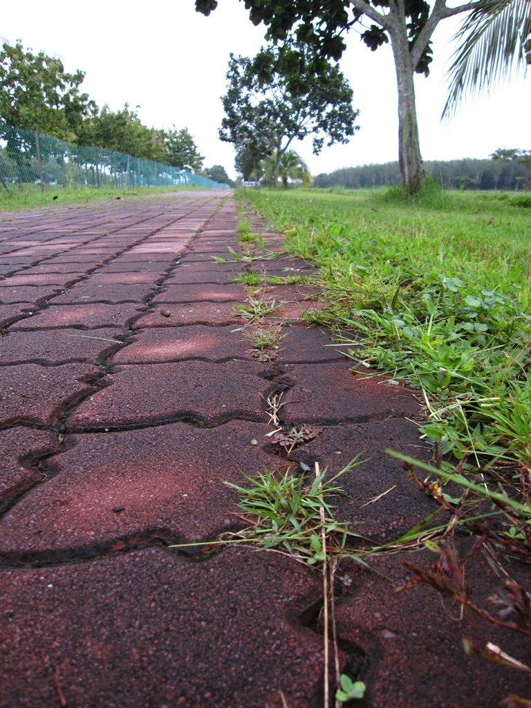 [IMG_3254.JPG]