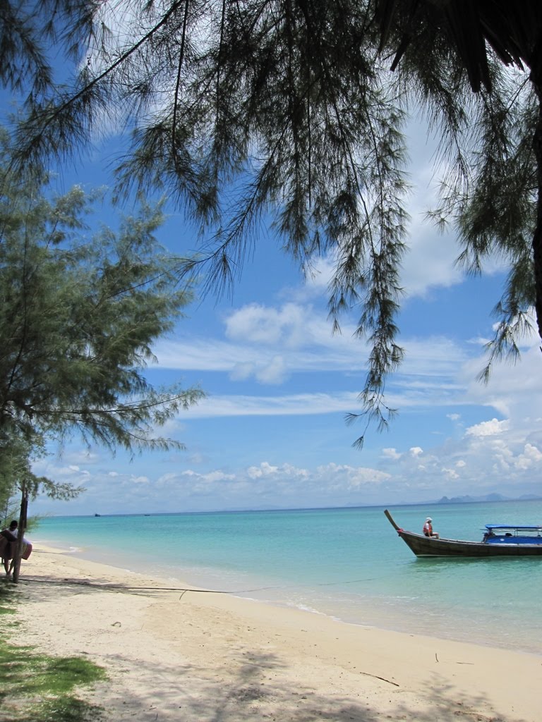 [IMG_3375.JPG]