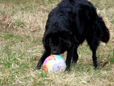Soccer Chops