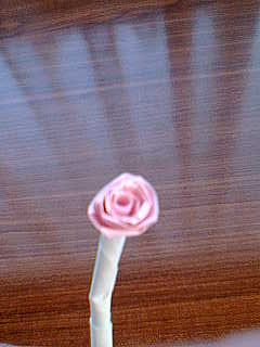 [rosa.jpg]