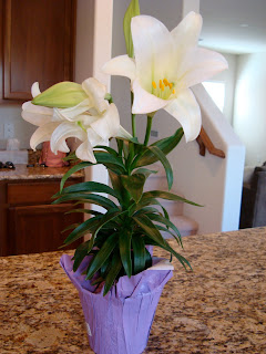Lillies on countertop