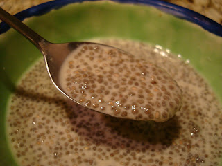Spoon holding refrigerated chia pudding