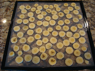 Sliced bananas on dehydrator tray
