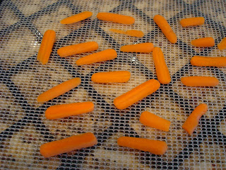Sliced carrots on dehydrator tray