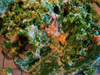 Close up of raw Kale Chip before being dehydrated