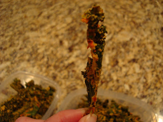 Hand holing side of one finished Kale Chip
