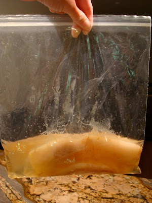 Scoby in plastic bag