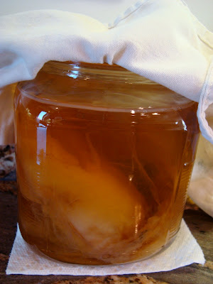 Homemade Kombucha ingredients in large glass jar covered with cloth