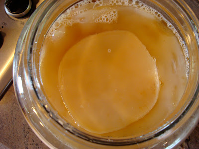 Overhead of layers of scoby