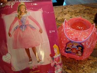 Fairy Princess Costume in bag with Princess Trick-or-Treat container