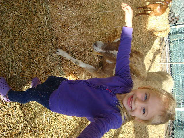 Young girl with arm stretched out smiling in front of goat