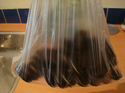 Oreos placed in plastic bag