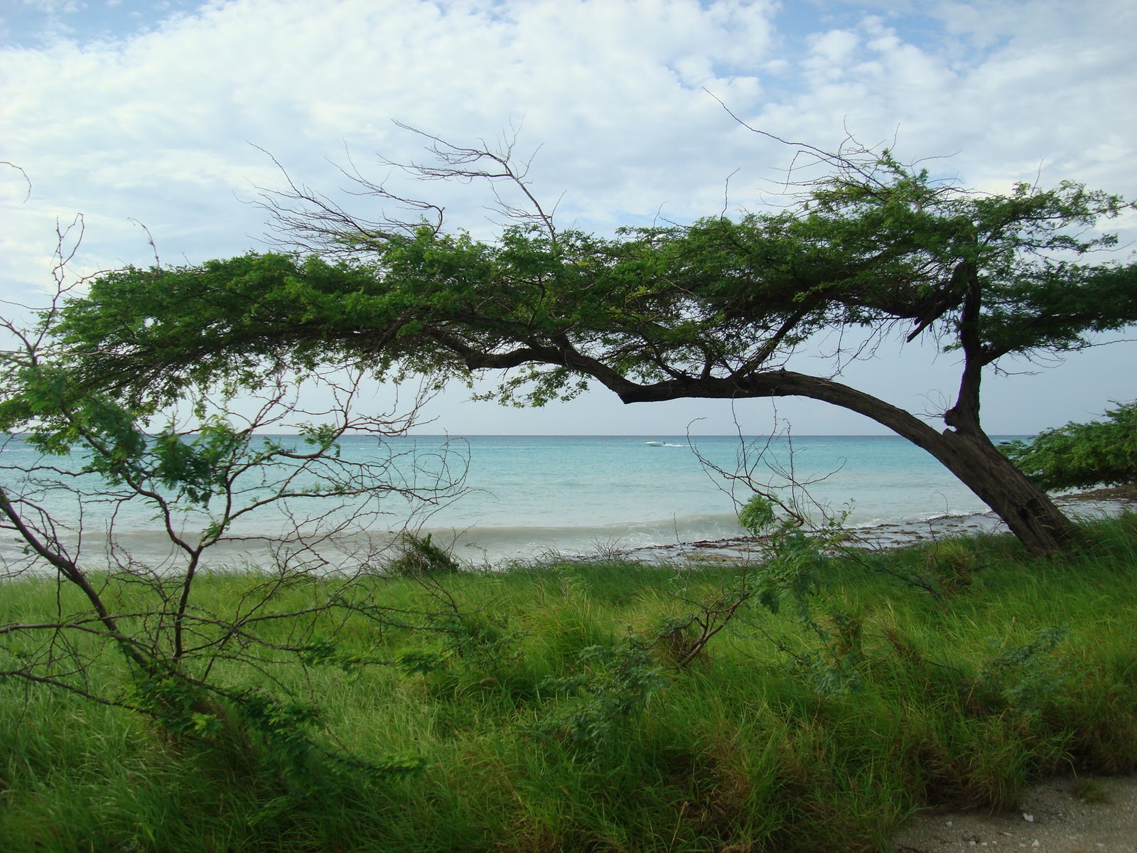 Aruba Walking Path Pictures, Winter Workouts & Finding Motivation