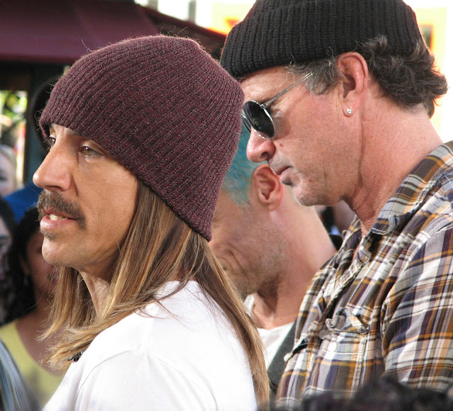 Red Hot Chilil Peppers book