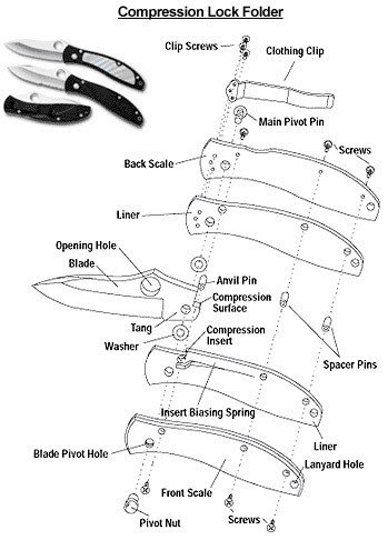 Knivesusa.com: Knife Anatomy