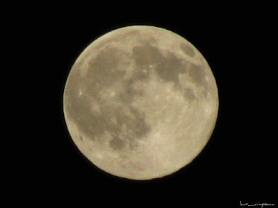 luna-moon