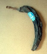 [Bild: gross+banana.jpg]