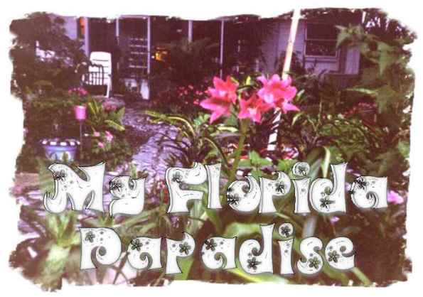 My Florida Paradise