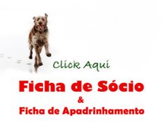 Madrinhas, Padrinhos & Sócios - Precisam-se!