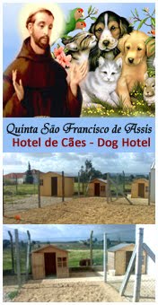 HOTEL DE CÃES