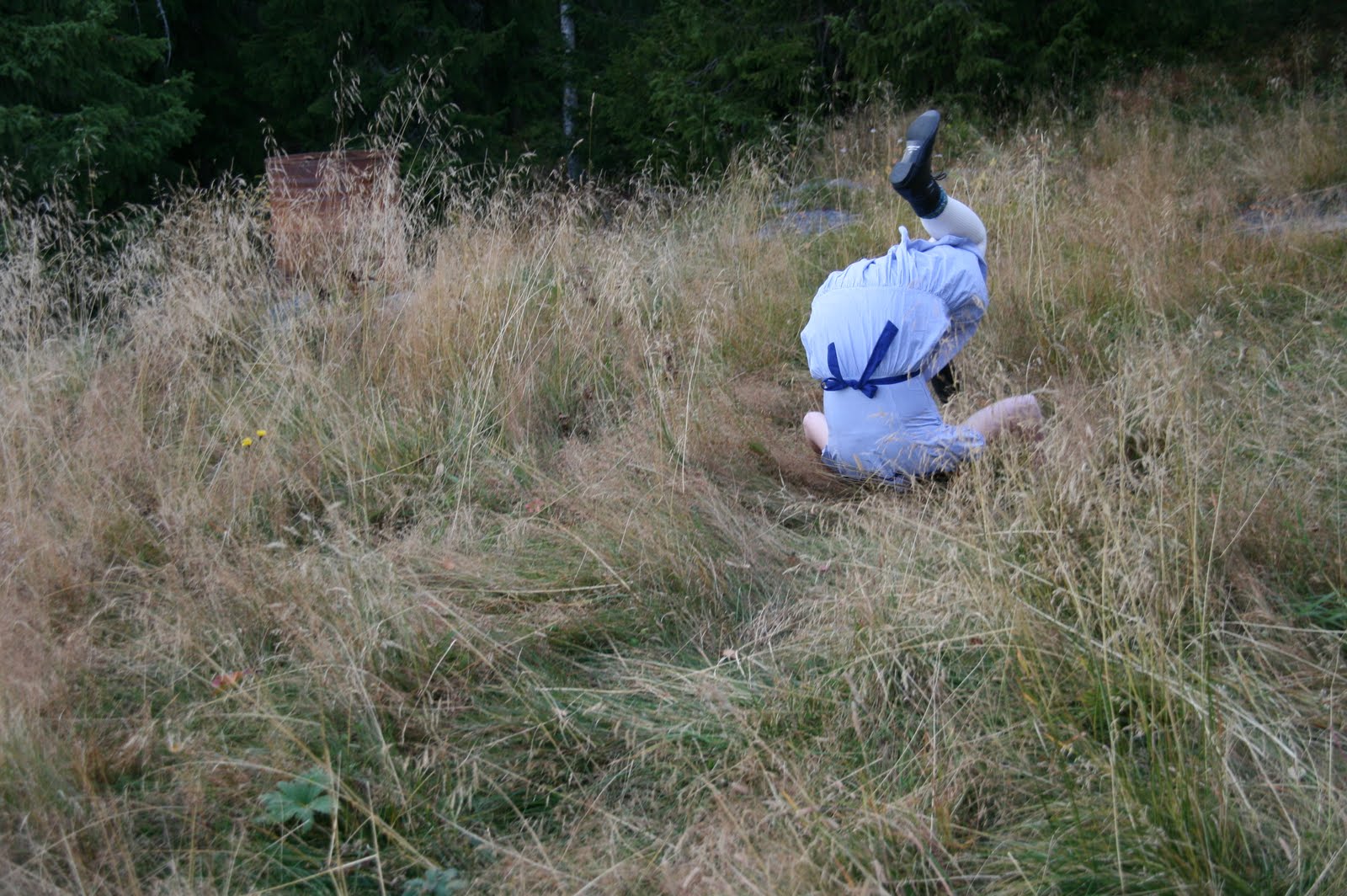 [hagglin_2707.JPG]