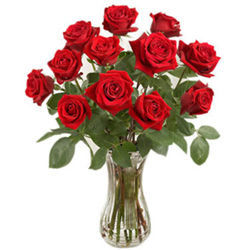 Twelve Red Roses