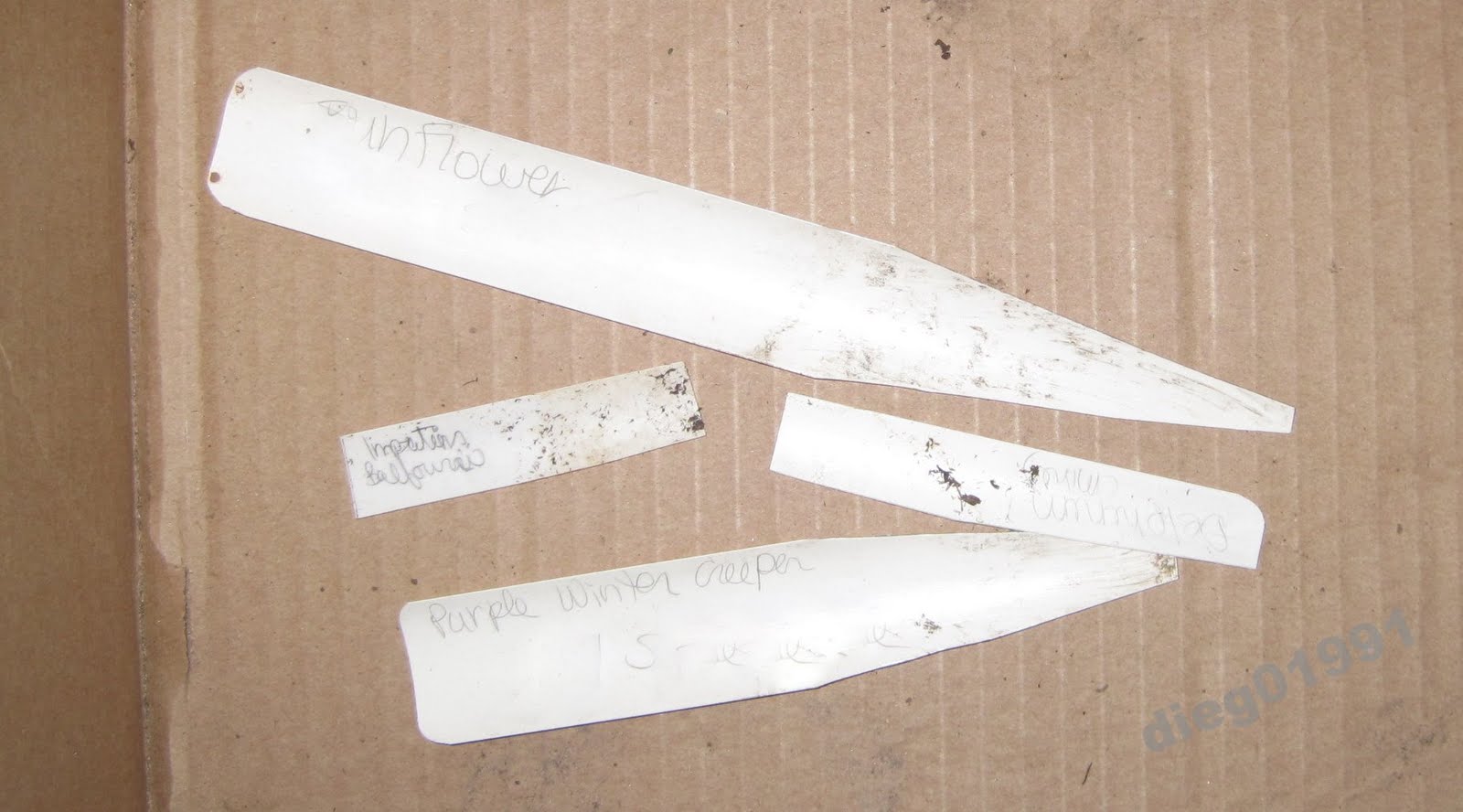 301 Moved Permanently