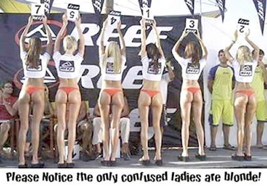 [dumb-blonde-humor-bikini-contestants.jpg]