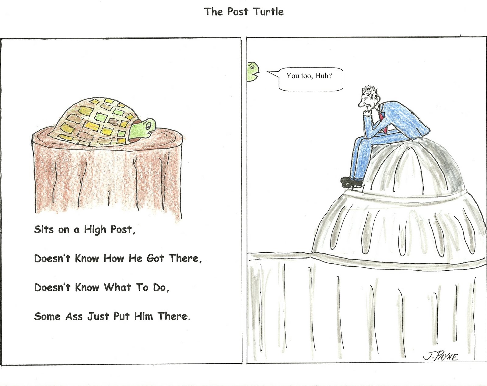 Turtle Post