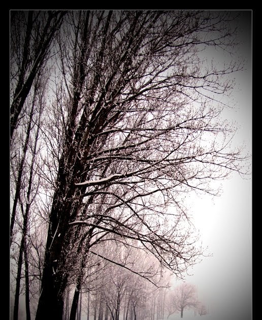 Noapte De Iarna De George Toparceanu TE SALUT, VIA??!: Noapte de iarn?, de George TOPÂRCEANU