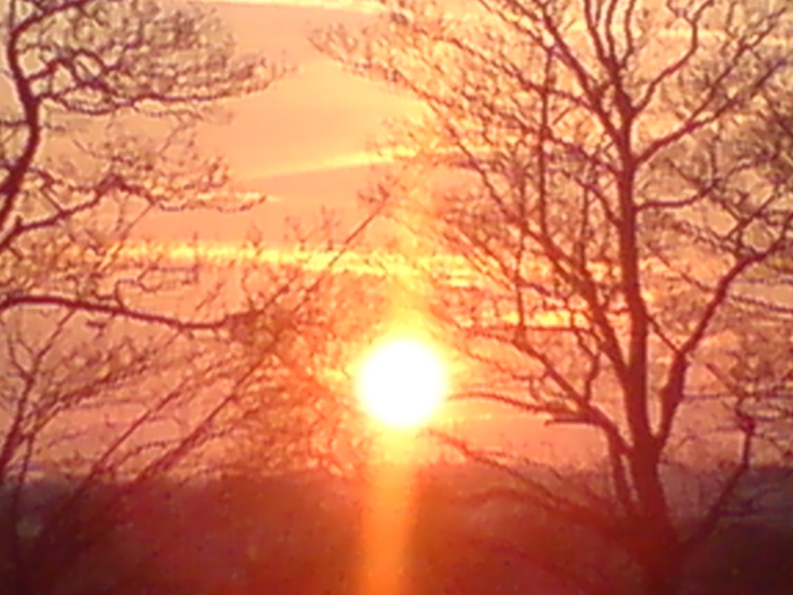 [DSC00065.JPG]