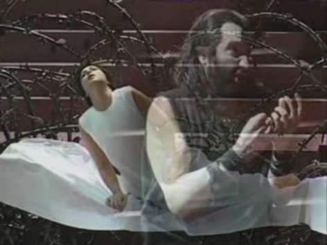 [evameipertusithais.bmp]