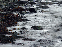 irish sea coast ©kerry dexter