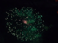 fireworks in a night sky copyright kerry dexter