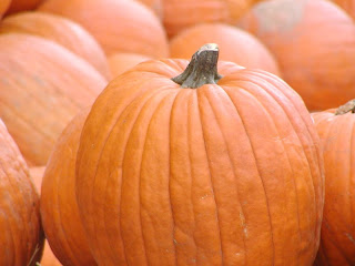 pumpkins tlh copyright kerry dexter
