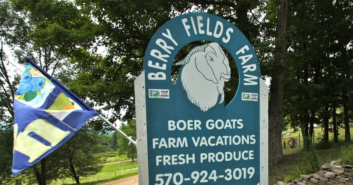 The Farm Stay Project Berry Fields Farm Our Family Farm Vacation