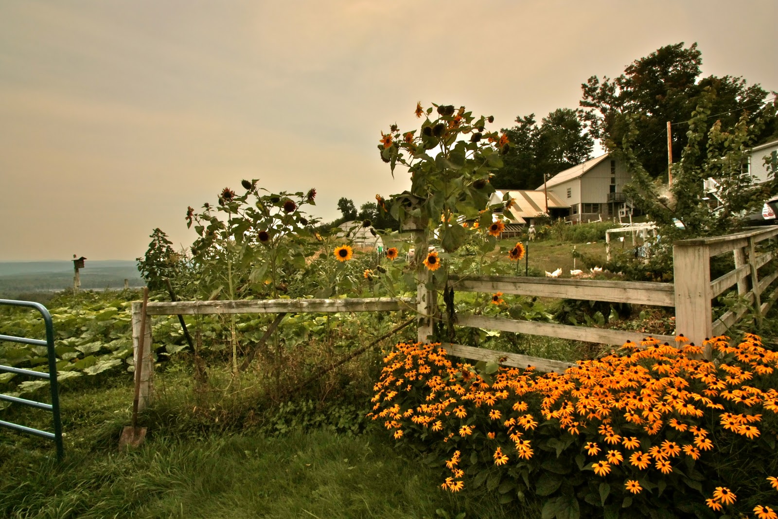 The Farm Stay Project Berry Fields Farm Our Family Farm Vacation