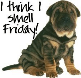 smellFriday_thumb%255B4%255D.jpg