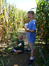 Boys Cornmaze